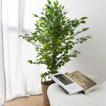 Luxury Center - Glenda Apartment Trieste